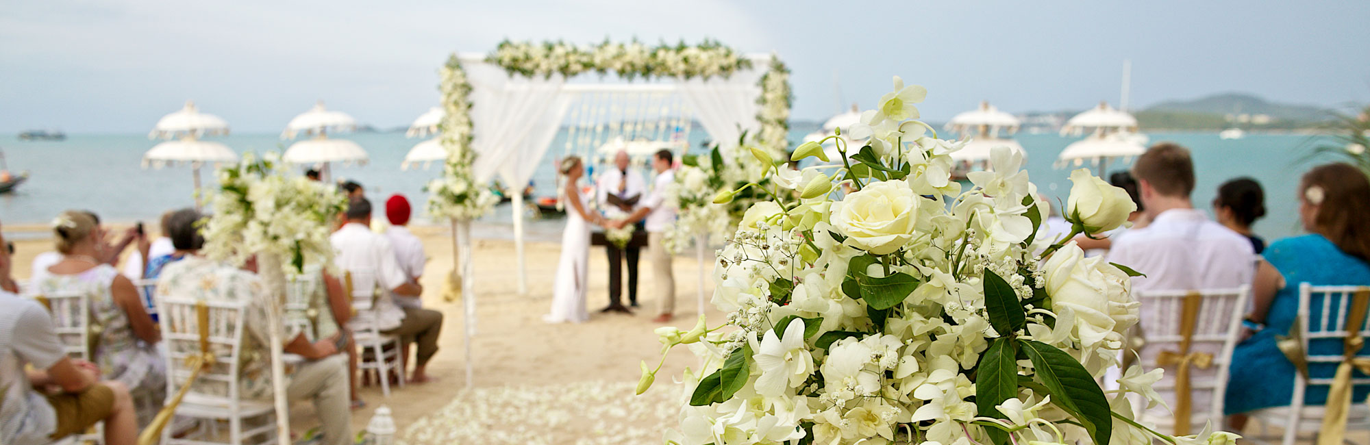 The Wedding Master 3